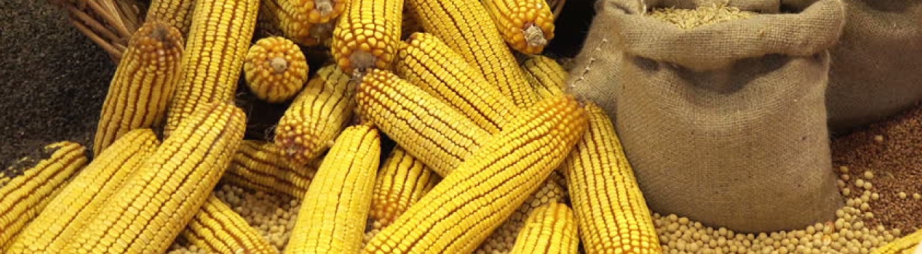 FOOD SUPPLY